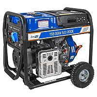 Сварочный генератор TSS PROF DGW 5.0/200E